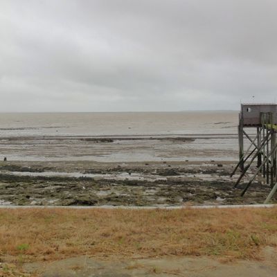 POITOU-CHARENTES ET AQUITAINE/ marais, sentiers boueux, côte des souvenirs, longues distances et   anonymat du retour