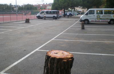 Alerte pour les arbres du quartier