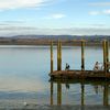 Nouvelle Zélande. Kawhia, beau et laid à la fois