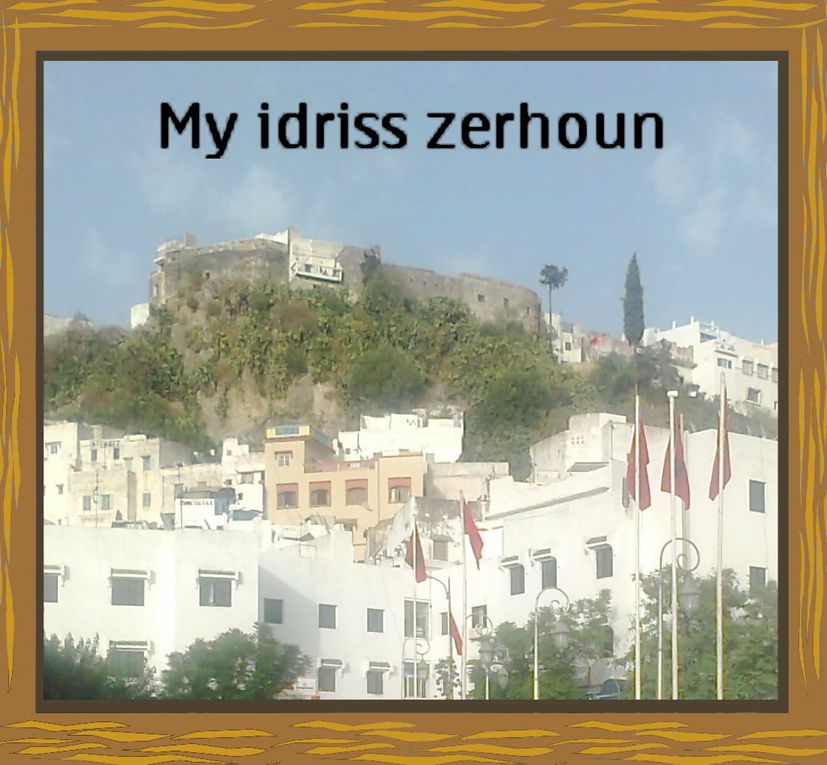 la ville de moulay idriss zerhoun une histoire d un apys d une société d une culture