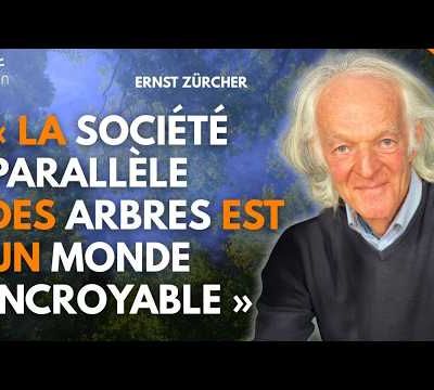 Un nouveau rapport aux arbres et à la Nature