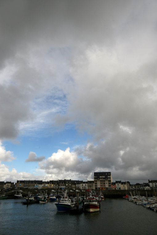 Hiver en Loire-Atlantique - Photos Thierry Weber Photographe La Baule Guérande