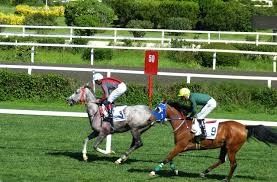 Jeudi 16 Mai 2019  Longchamp S/Noct. — C7 Quinté