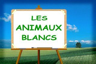 PPS - Les Animaux Blancs !