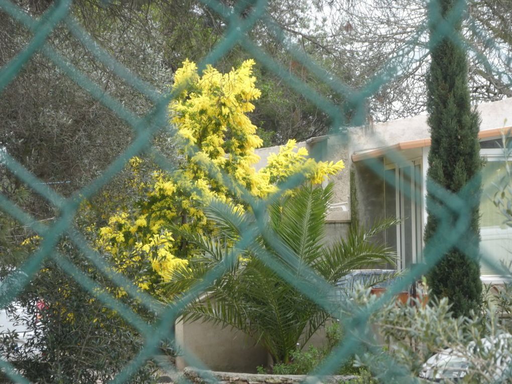 Rando du 4/03/2019 Carrieres de Baou Talla