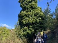 Rando du château de Rochebonne