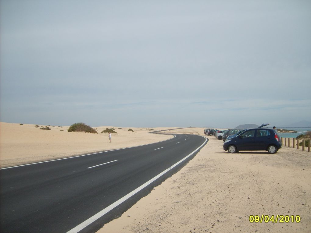 Album - vacances-chez-bea-a-fuerteventura