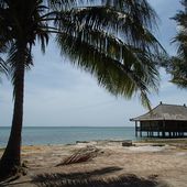 Bintan Island - Deux bressans à Singapour