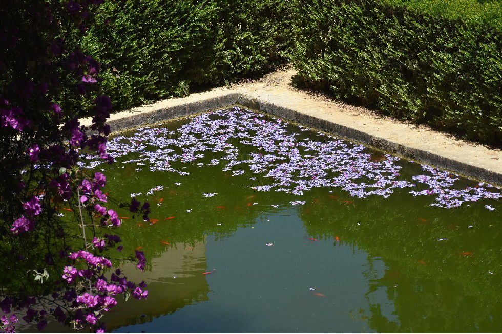 LE REAL ALCAZAR MAJESTUEUX PALAIS ROYAL (3)