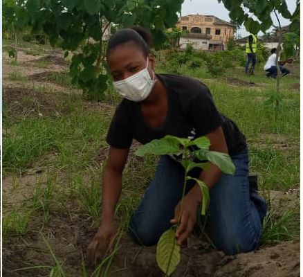 LACS / JOURNEE DE l’ARBRE : VERS UNE PREFECTURE VERTE