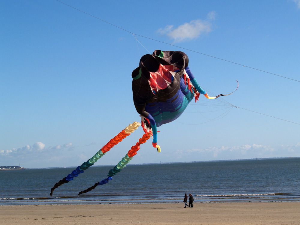 Album - Cerf volant plage de La Baule