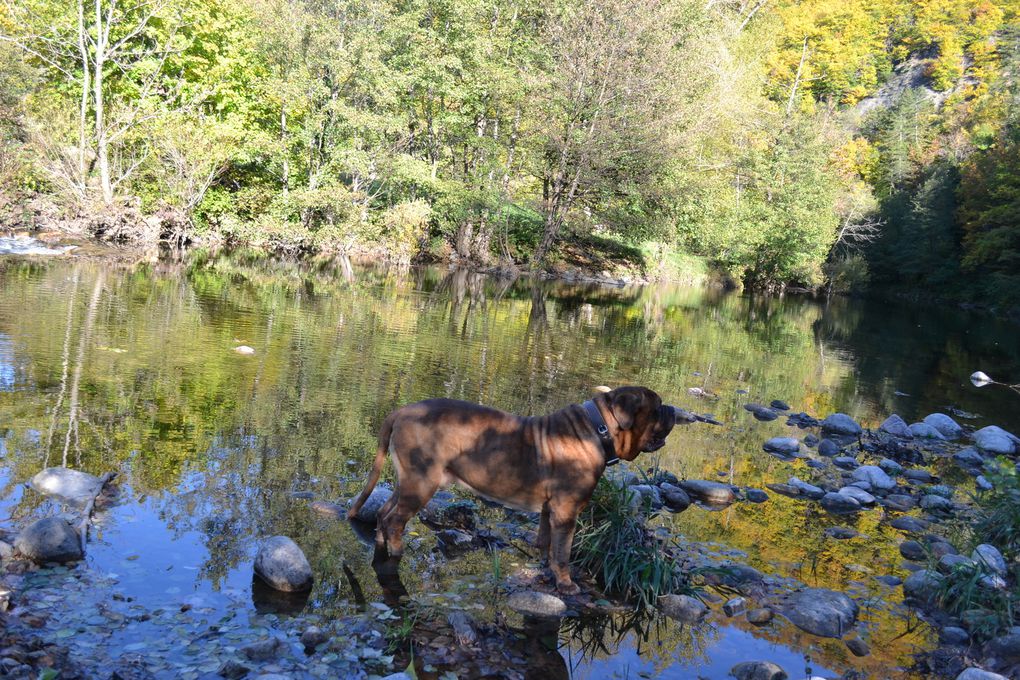 Repos au camping du Pont du Tarn