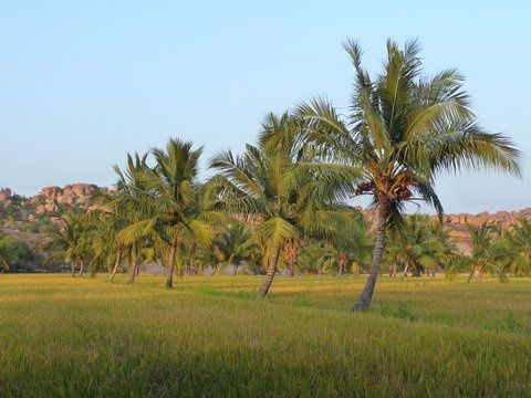 Album - Hampi