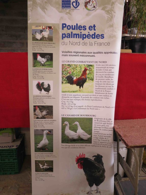 Les élèves du collège Boris Vian sont allés à la rencontre du monde agricole en se rendant à la foire agricole de la Passion qui se déroule à Audruicq chaque année au mois de Mars. L'occasion pour eux de voir un gymkhana de tracteurs (Concours de conduite fine de tracteurs) et de nombreux animaux de la ferme.