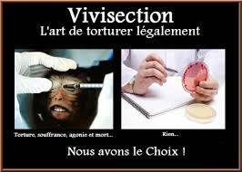 Vivisection