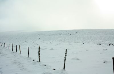 Après, il faudra renaître encore : joie !