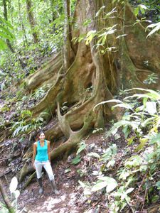 COSTA RICA - accueil touristique dans la jungle - &quot;Bolita&quot;