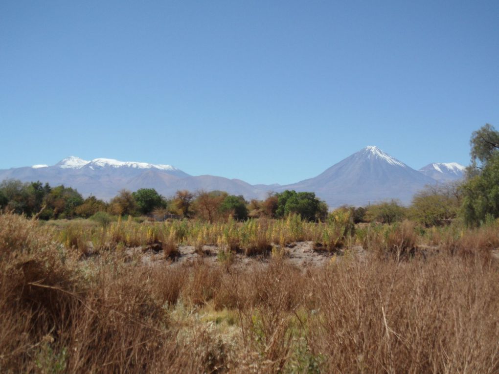 Album - San-Pedro-de-Atacama