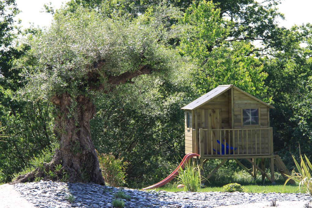 Arbor Minéral paysagiste à Vannes aménage votre jardin avec la plantation de sujet provenant de pépinière espagnol. Vente, livraison et plantation d'oliviers pour ambiance méditerranéenne