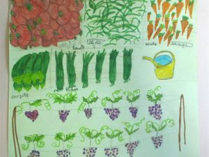 Etude des légumes et fruits (feutres sur papier)