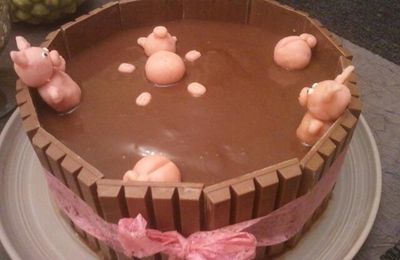 Le SPA des petits cochons