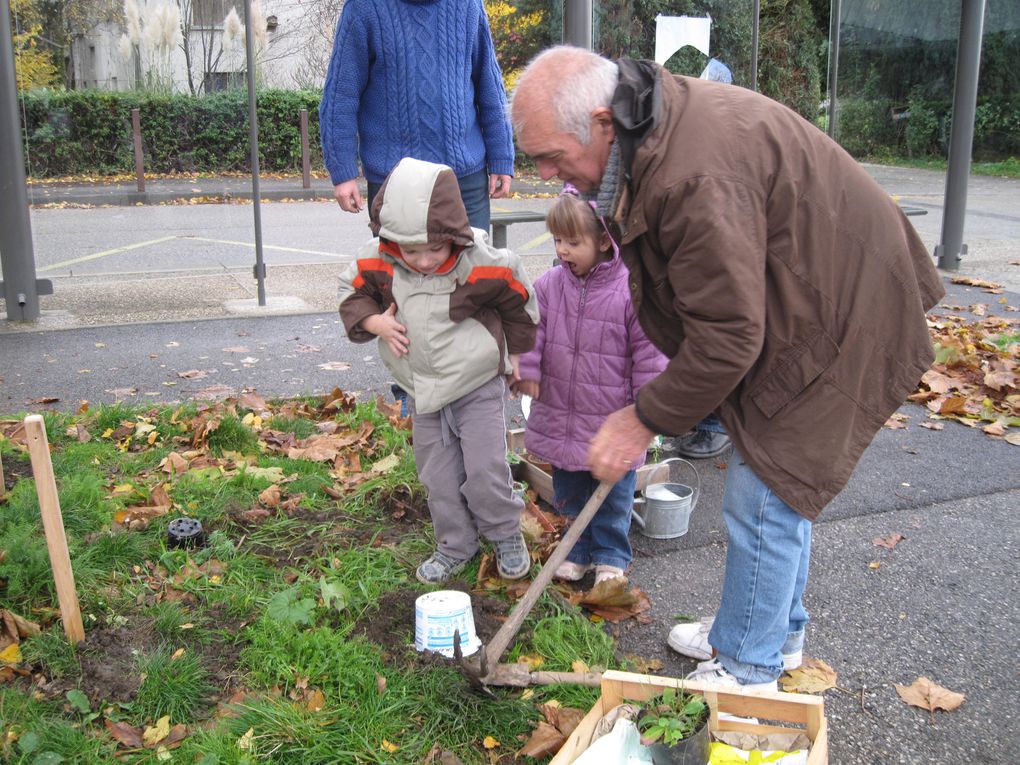 BIODIVERSITE à l'école du village: des élèves de l'école maternelle("les moyens")ont planté des fleurs sauvages locales au pied des 2 platanes devant l'école, début novembre 2010 avec l'aide des jardiniers du JARDIN BUISSIONNIER.