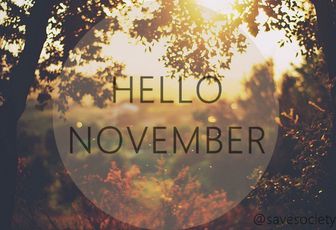 Hello November #1 Lectures à venir,faites et achetées