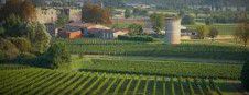 #Red Côtes de Bourg Producers Bordeaux Vineyards France page 3