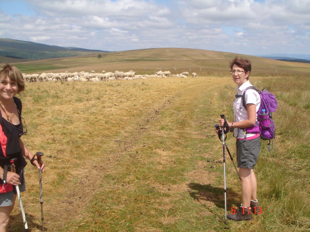 JEUDI 9 JUILLET ; 2ème groupe ; COL DE BARACUCHET