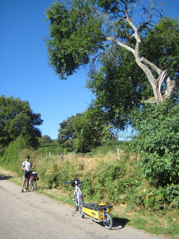 Le parc régional du Morvan. Pause prunes :) et notre boulangerie favorite... on ne sait plus où ^^