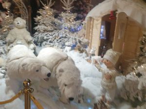 22 Tour de France Noël 2024 : PACA