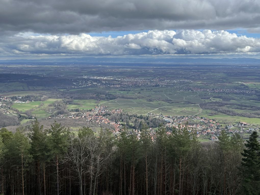 2024-02 Les hauteurs d'Ottrott