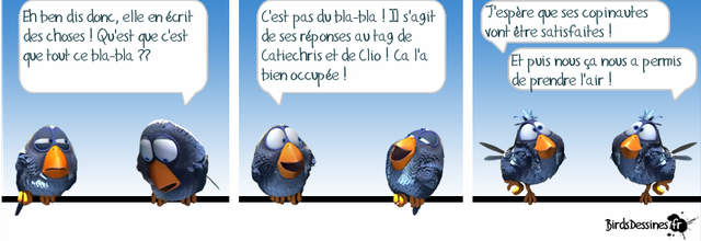 Les zoziaux et le tag