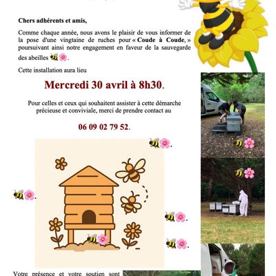 POSE DES RUCHES !