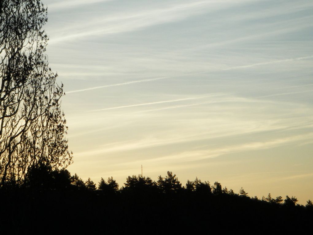 le matin ou le soir la nature nous révèle ses plus beau paysage... 