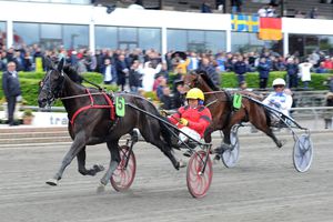 Quinté de Samedi à Vincennes : Buzz Mearas, vers l'infini et au-delà