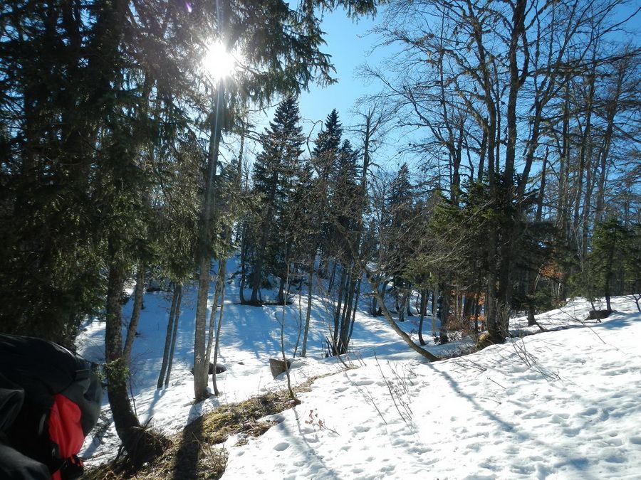 Album - 2014-01-Col-de-Porte