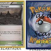 SERIE/XY/POINGS FURIEUX/91-100/97/111 - pokecartadex.over-blog.com