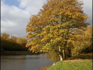 Couleurs d'automne sur les rives de la Penfeld...