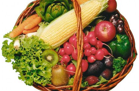 Aliments à satiété - fruits, légumes, céréales et riz.