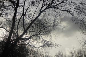 Souffle le vent, coure l'eau, rêve le temps