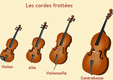 Album Famille  des  cordes  Musique au coll ge Lavoisier