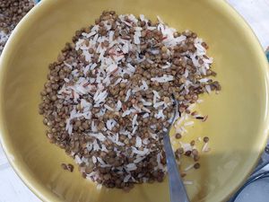 Salade riz-lentilles