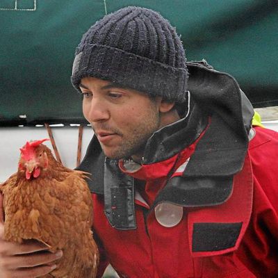 Le navigateur breton Guirec Soudée et sa poule ont fait le tour du monde