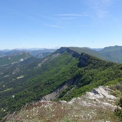 Randonnée au pays des vautours 