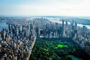 Les images impressionnantes de New York envahie par des nuages d'insectes! 