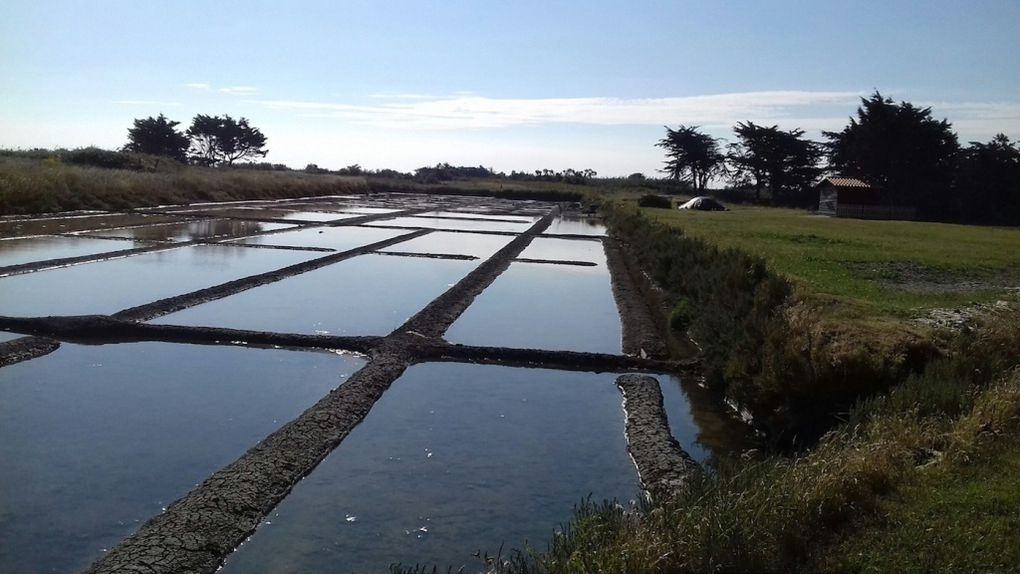 &quot;10 Km&quot; : sortie de Noirmoutier