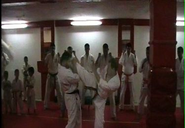 fiche technique kyokushinkai algérie 2013