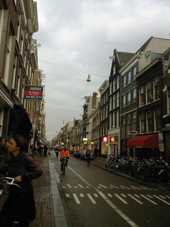 Album - Amsterdam 2011
