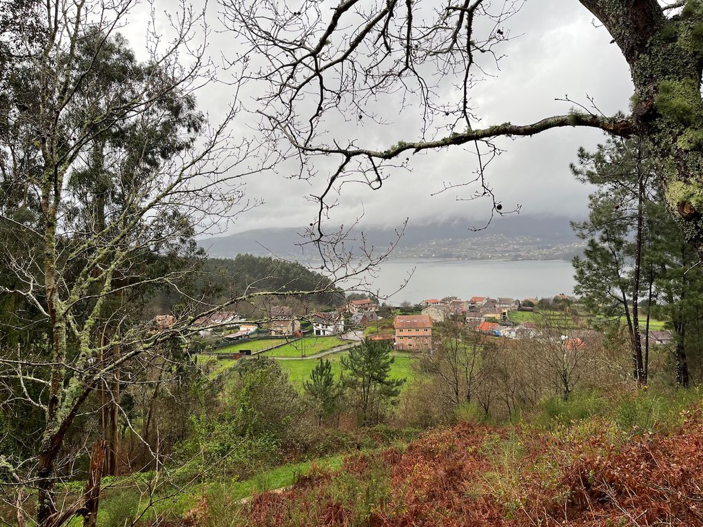 De beaux morceaux de forêts et la vue sur le bras de mer qui s’enfonce dans les terres